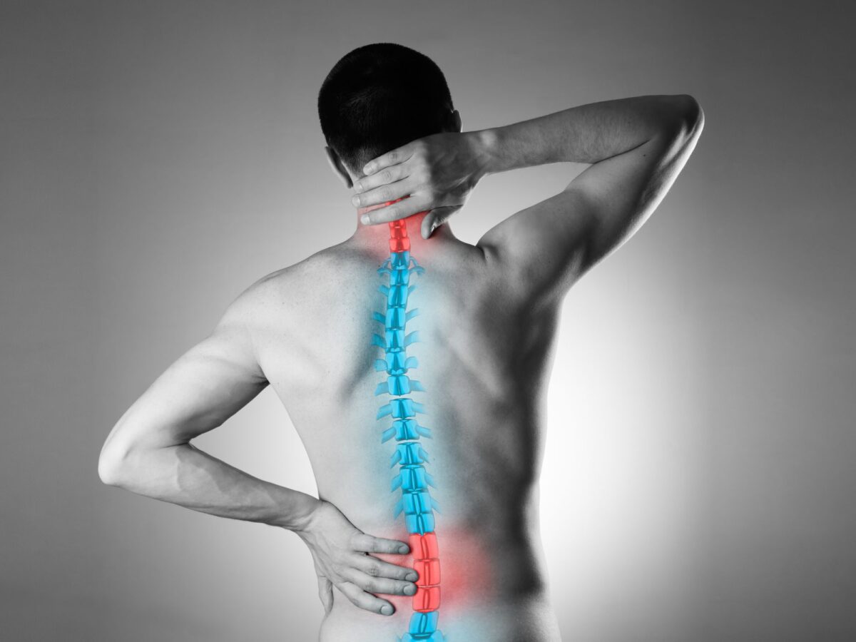 Black and white image with a coloured spine