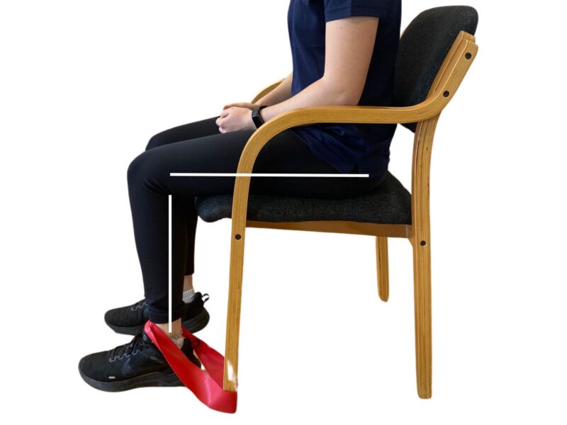Resisted Knee extension (90 45deg)