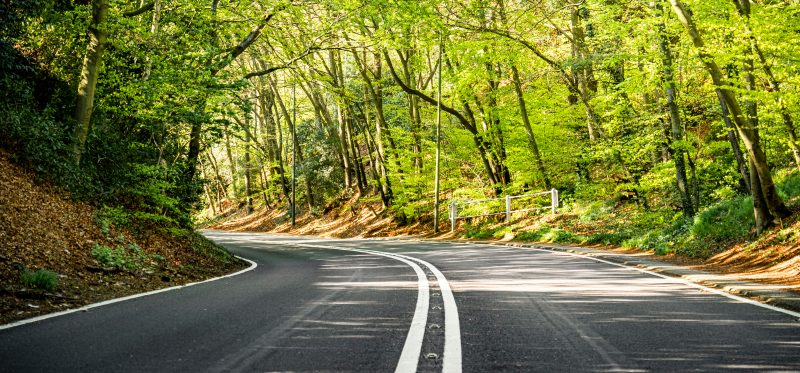 Empty,Road,Through,Beautiful,Green,Woodland,In,Surrey,,England