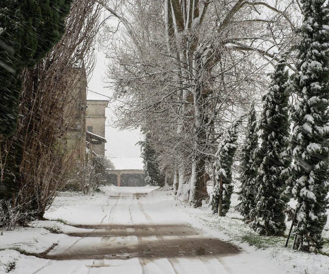 Tackling The Ice And Slippery Surfaces In Winter - Balance & Weak Legs