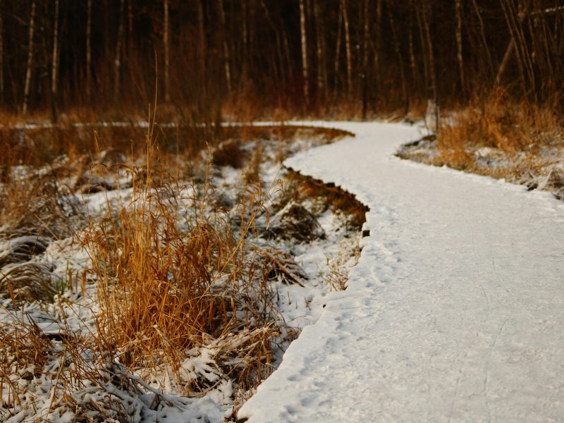 Tackling the ice and slippery surfaces in winter. Balance and weak legs - can anything be done?, Egham and Woking